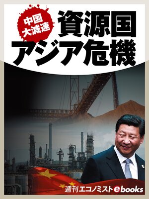cover image of 中国大減速　資源国・アジア危機